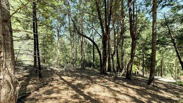 18910 Circle View, Pioneer, CA 95666