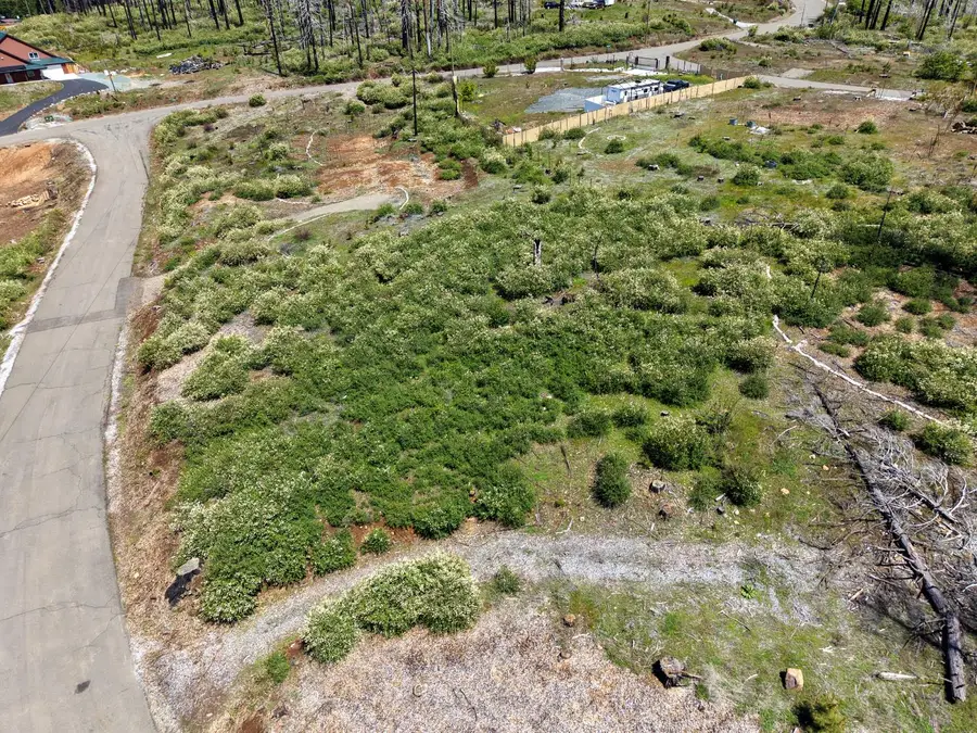 4929 Edgewood Circle, Grizzly Flats, CA 95636 - #3