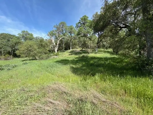 0 Mirinda Lane, Cool, CA 95614 - #1