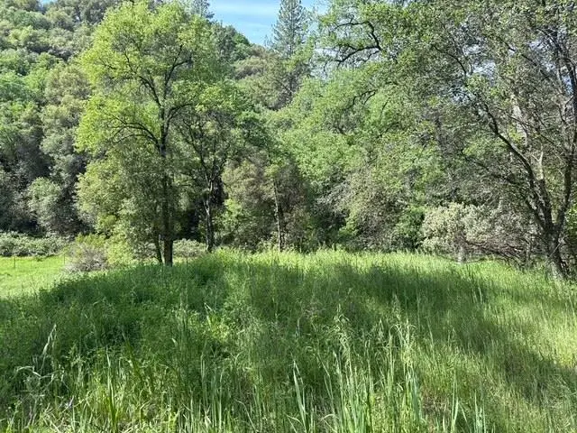 0 Mirinda Lane, Cool, CA 95614 - #3
