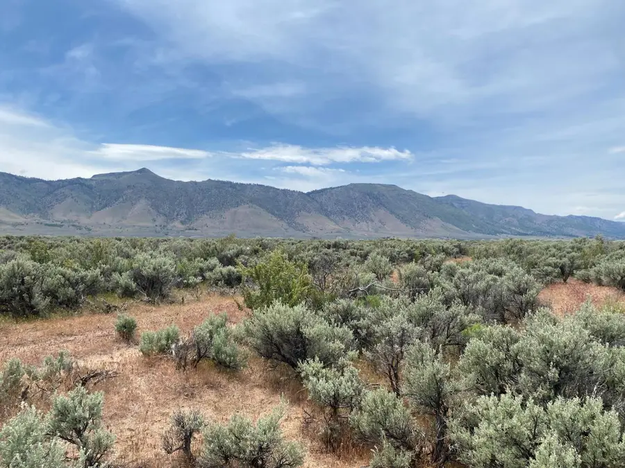 446 Honey Lake, Herlong, CA 96113 - #2