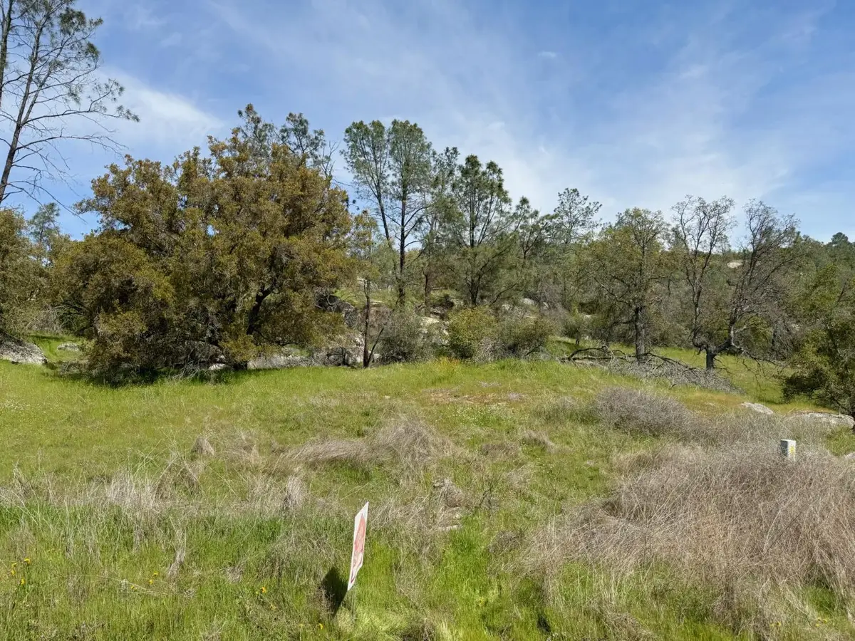 0 Long Hollow Drive, Coarsegold, CA 93614 - #1