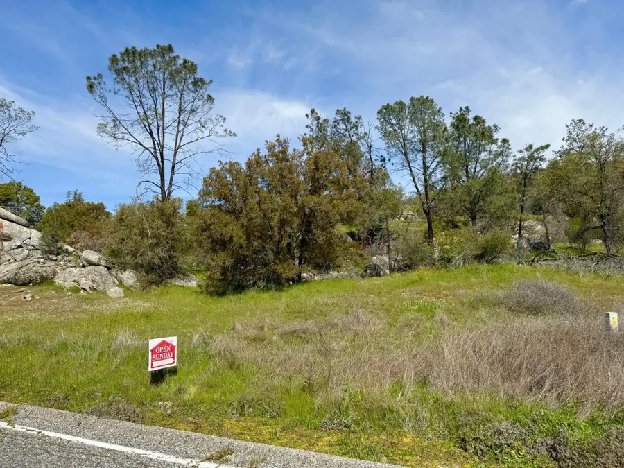 0 Long Hollow Drive, Coarsegold, CA 93614 - #2