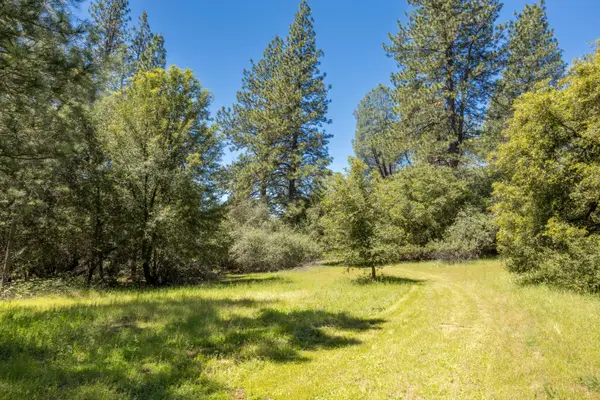 7381 Nutmeg Lane, Placerville, CA 95667