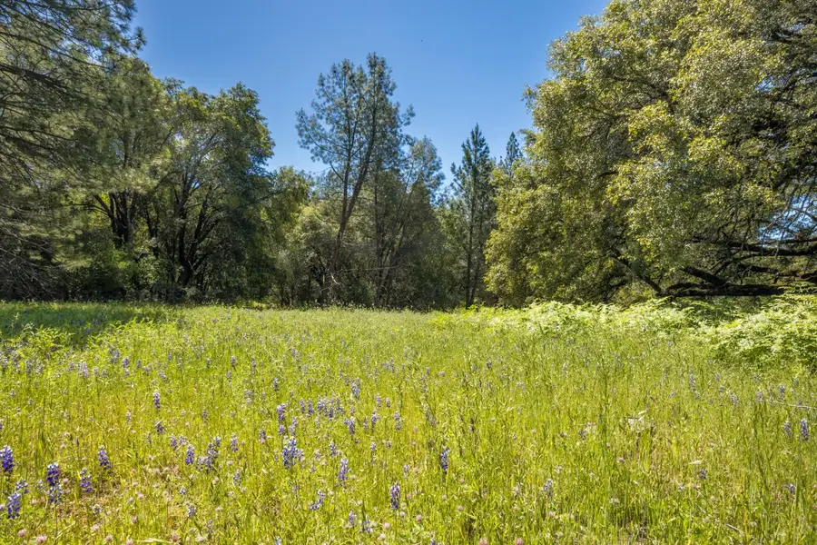 7381 Nutmeg Lane, Placerville, CA 95667 - #3