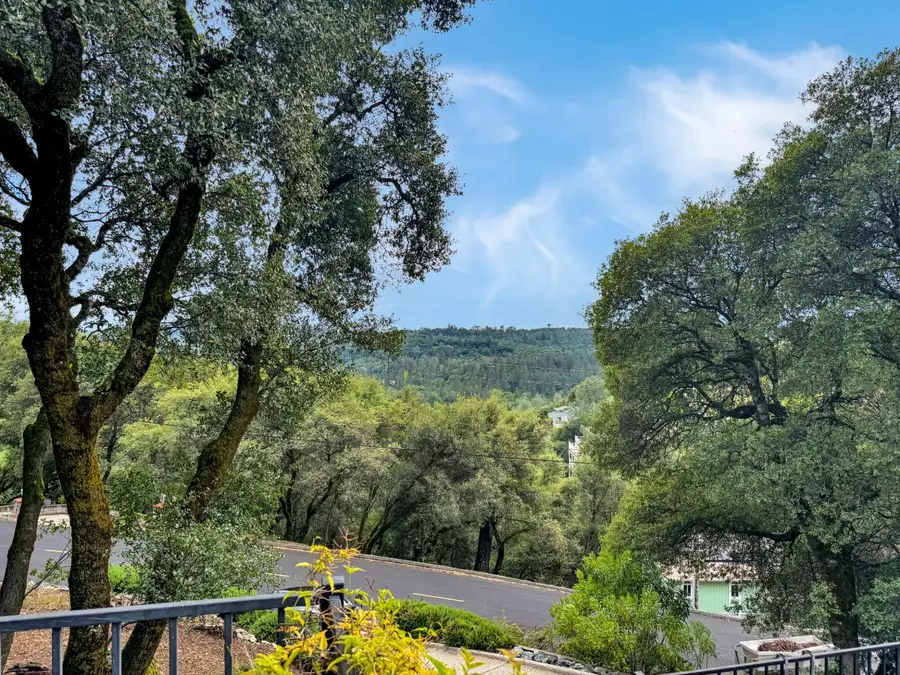 18566 Song Sparrow Court, Penn Valley, CA 95946 - #3