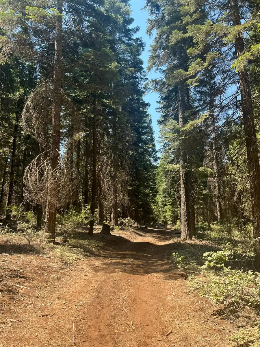 30205 N Bloomfield-graniteville Road, Nevada City, CA 95959 - #2
