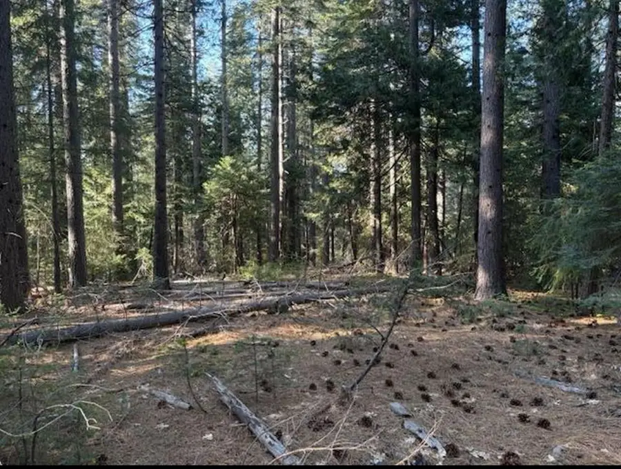 30115 N Bloomfield-graniteville Road, Nevada City, CA 95959 - #2