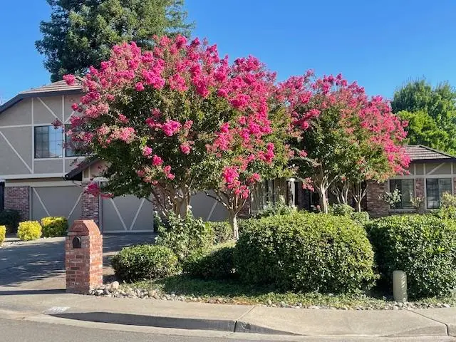 1200 Teak Court, Roseville, CA 95661 - #3