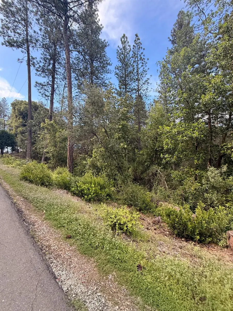 0 Manzanita Dr, Sutter Creek, CA 95685 - #2