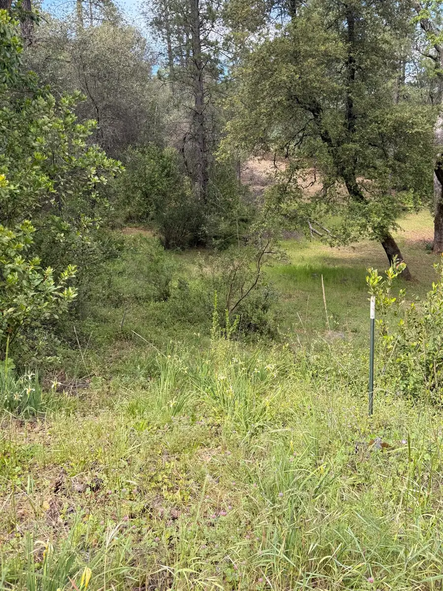 0 Manzanita Dr, Sutter Creek, CA 95685 - #3