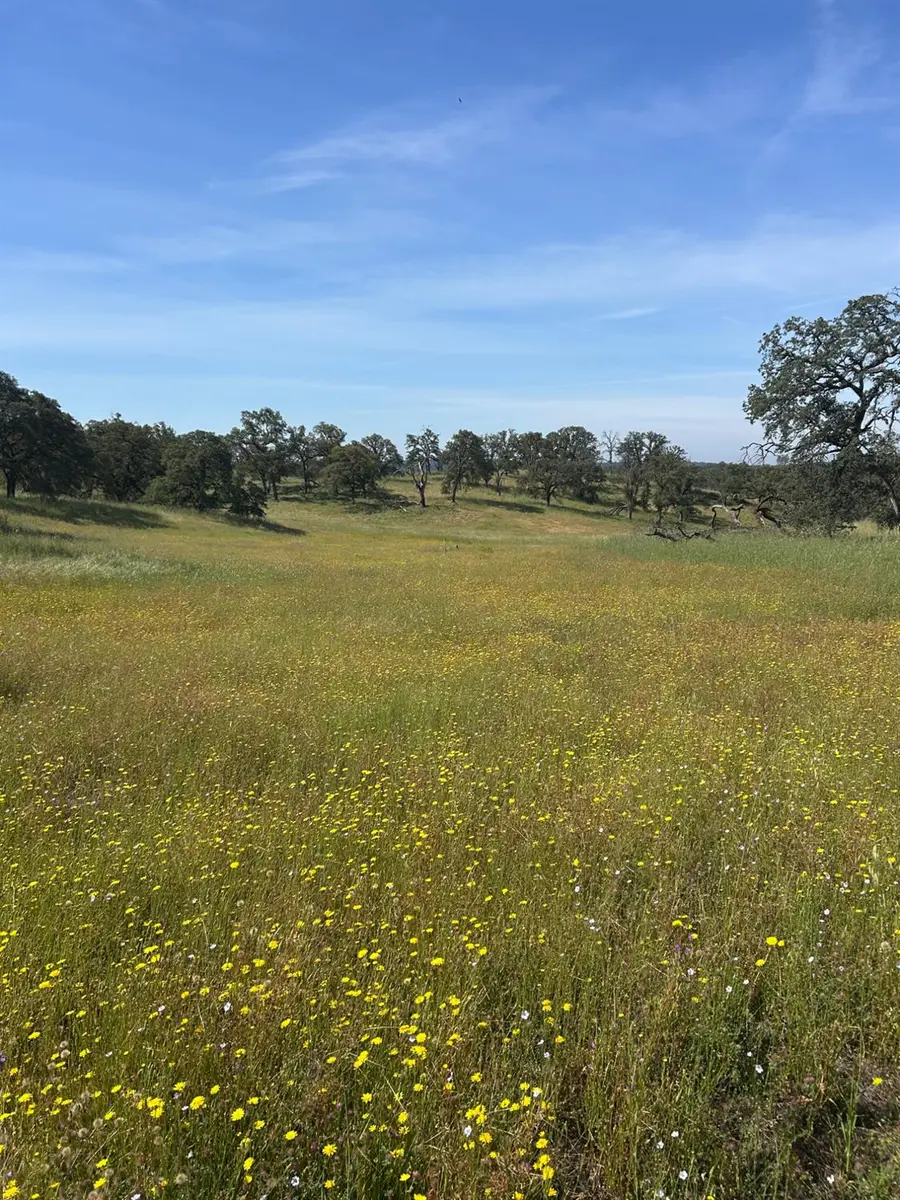 0 Matthew Road, Wheatland, CA 95692 - #2