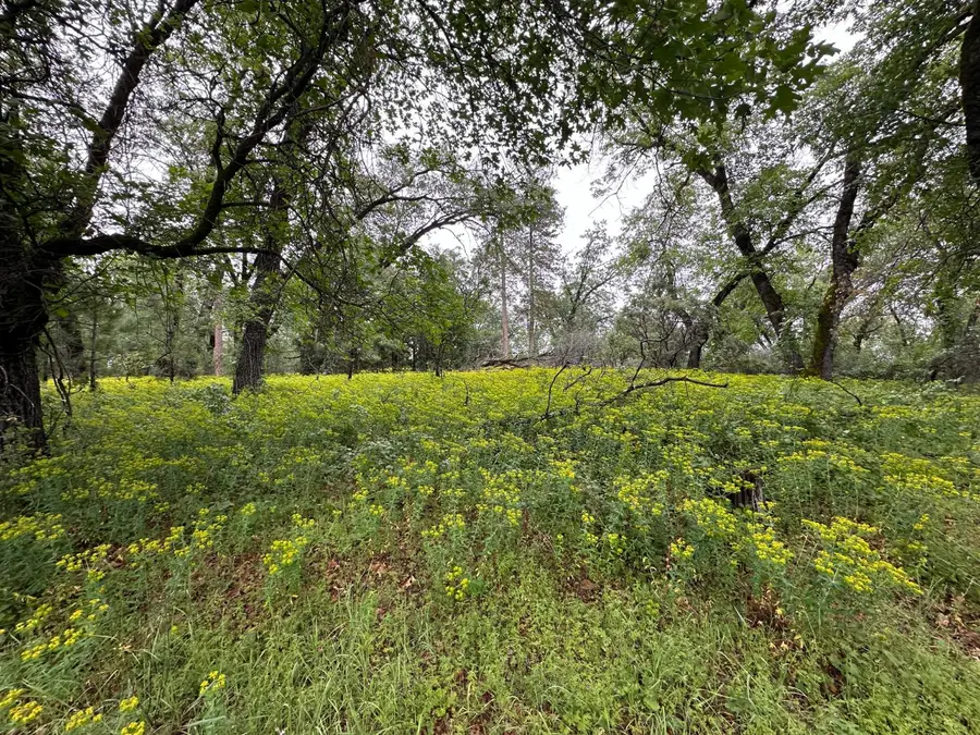 0 Campo Flores Lane, Arnold West Point, CA 95225 - #2
