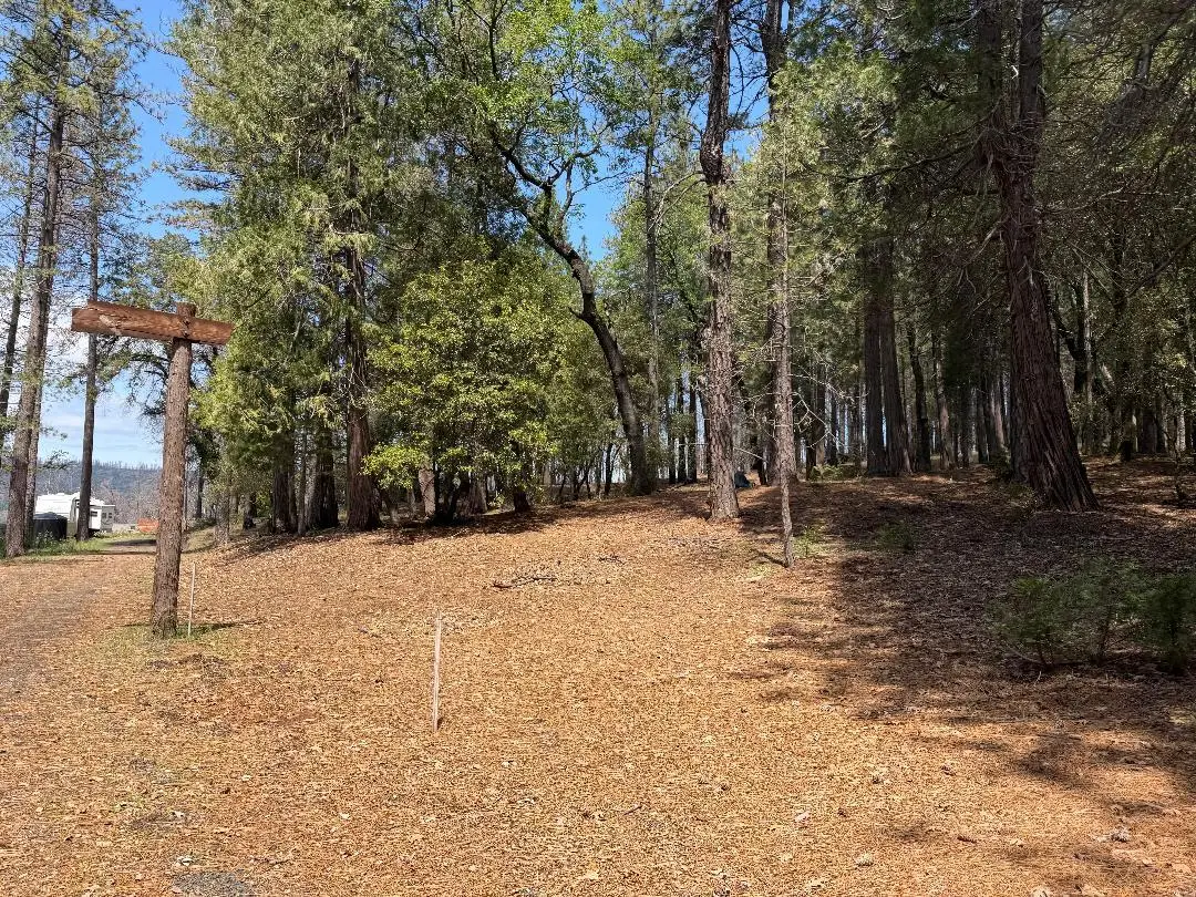 4631 Dear Abby Road, Forest Ranch, CA 95942 - #1