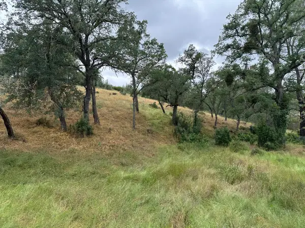 6536 Mccauley Road, Valley Springs, CA 95252