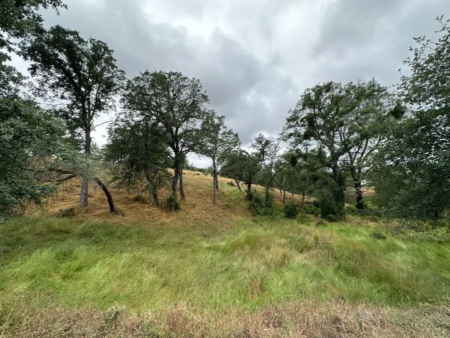 6536 Mccauley Road, Valley Springs, CA 95252 - #2