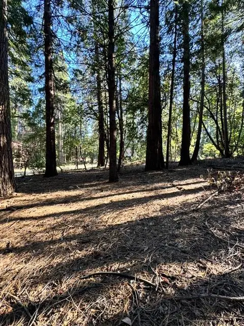 27059 Antelope Drive, Pioneer, CA 95666