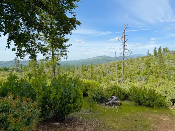 0 Fricot City Rd, Sheep Ranch, CA 95246