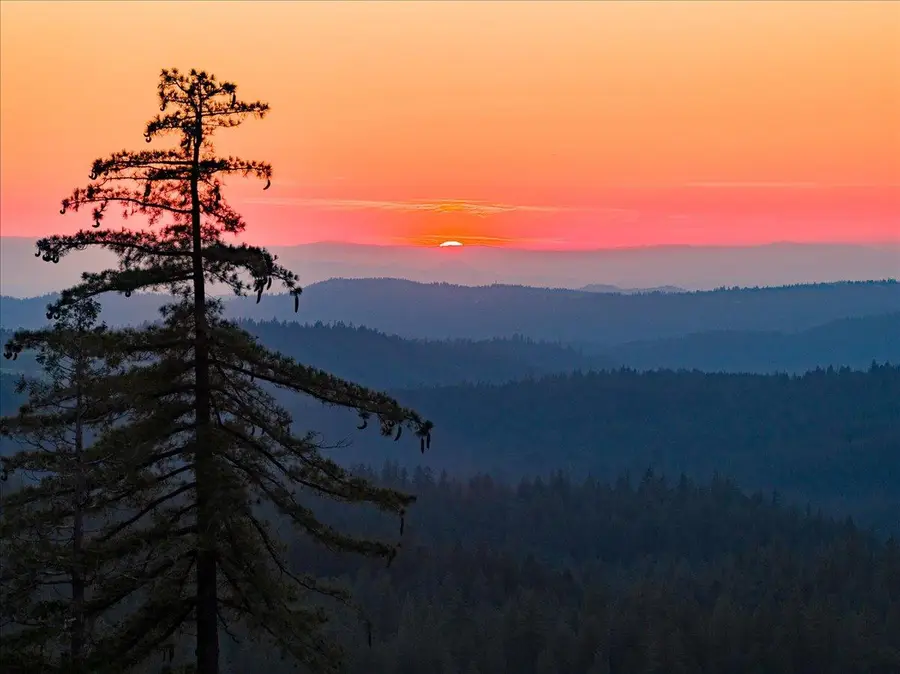 3280 Chipmunk Trail, Georgetown, CA 95634 - #3