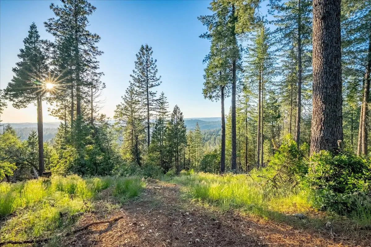 3260 Chipmunk Trail, Georgetown, CA 95634 - #1