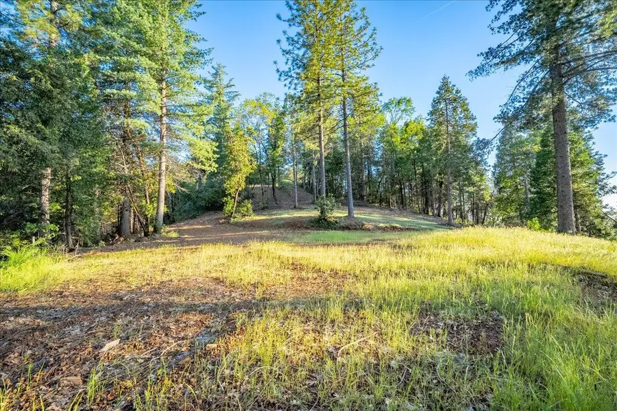 3260 Chipmunk Trail, Georgetown, CA 95634 - #2