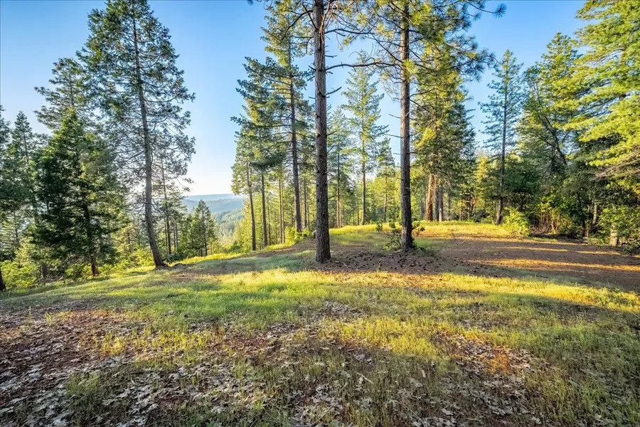 3260 Chipmunk Trail, Georgetown, CA 95634 - #3