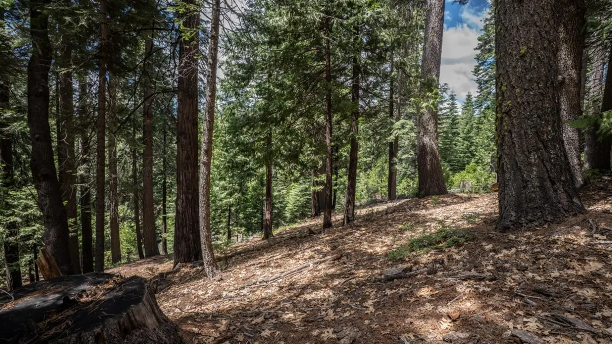 4648 Jibway Drive, Dorrington, CA 95223 - #1
