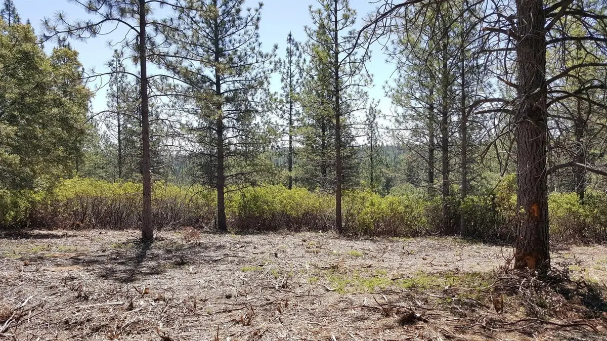 0 Deardorff Road, Glencoe, CA 95232 - #1