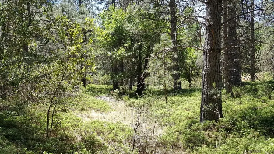 0 Deardorff Road, Glencoe, CA 95232 - #2