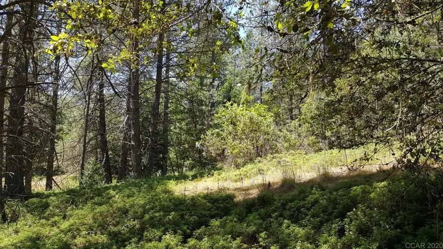 0 Deardorff Road, Glencoe, CA 95232 - #3
