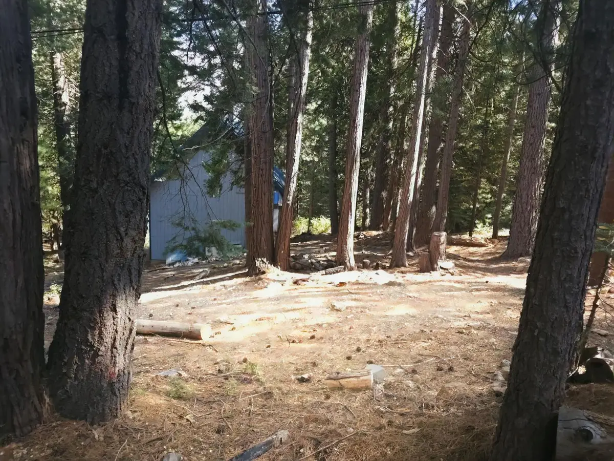 41100 Putt Road, Alta, CA 95701 - #1