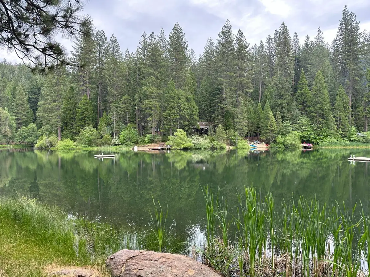 1566 Patricia Lane, Arnold, CA 95223 - #1