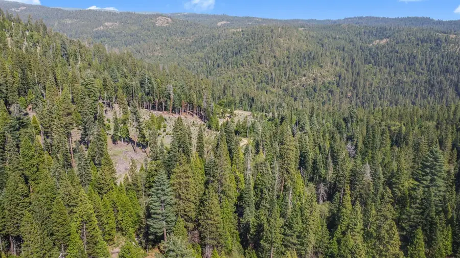 2159 Sierra Parkway, Dorrington, CA 95223 - #2