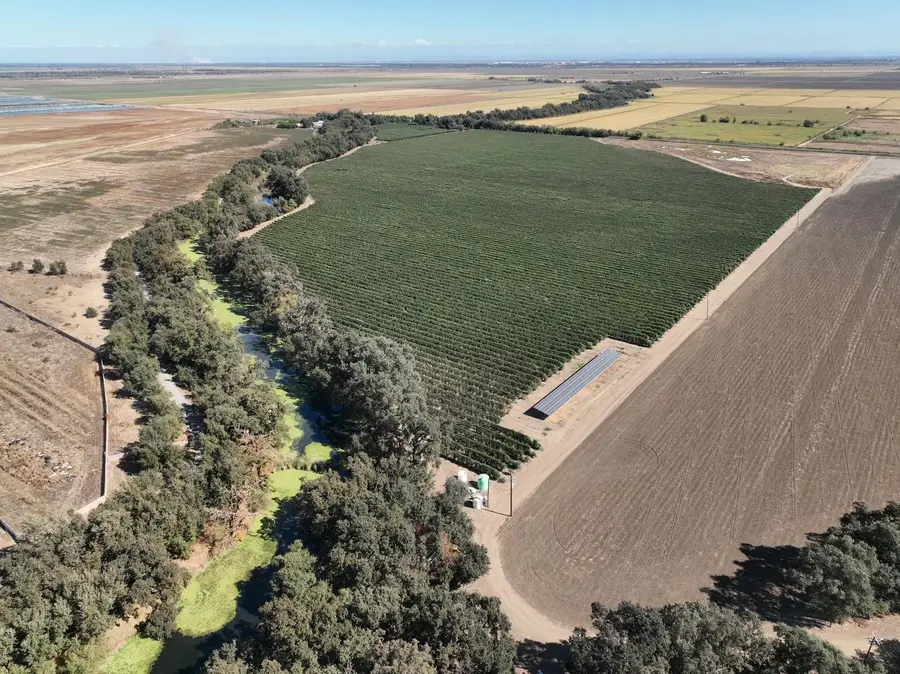 20456 County Road 103, Woodland, CA 95776 - #2