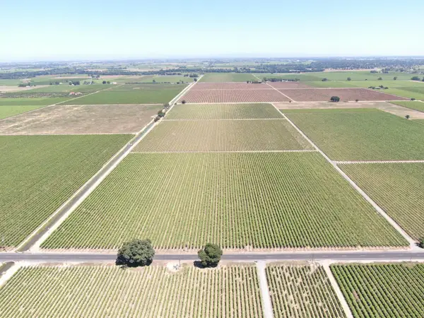 20860 N Devries Road, Lodi, CA 95242