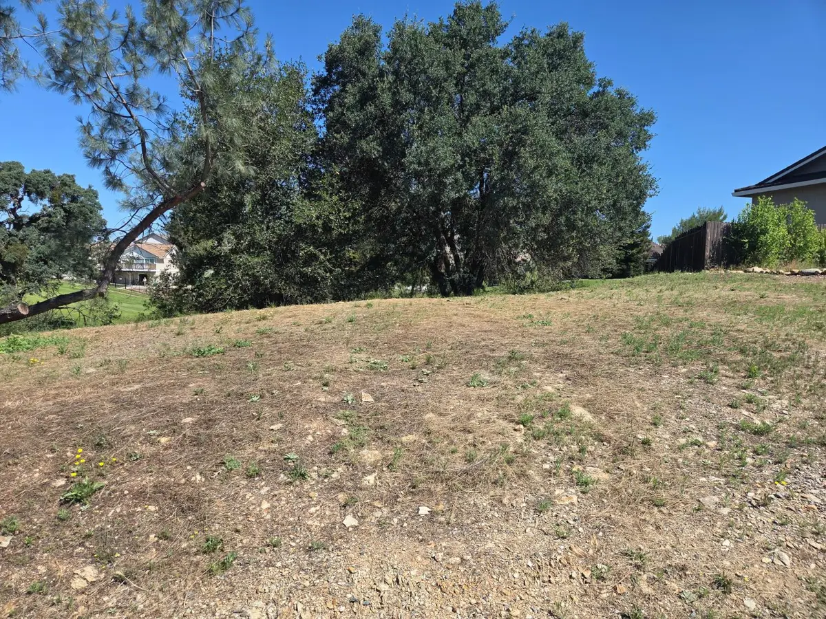 590 Blue Herron Court, Valley Springs, CA 95252 - #1