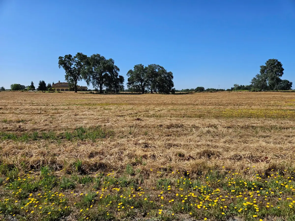 20654 Disch Road, Lockeford, CA 95237 - #1