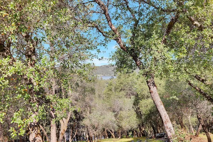 13036 Lake Wildwood Drive, Penn Valley, CA 95946 - #2