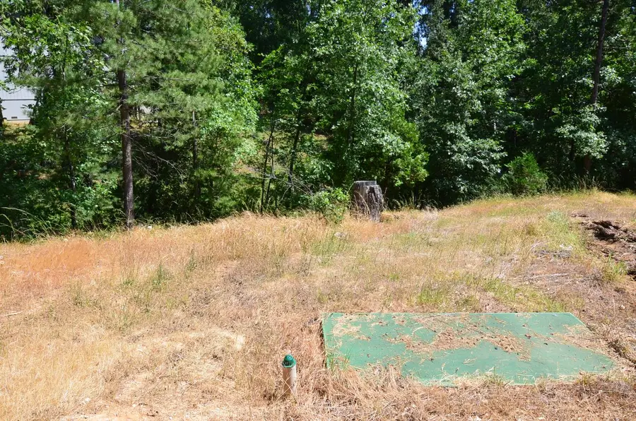 662 Roan Way, Avery, CA 95224 - #3
