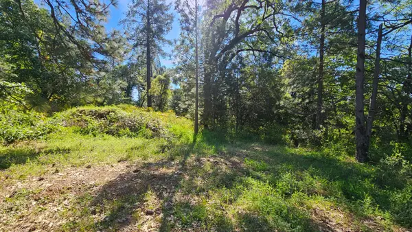 0 N Canyon Way Way, Colfax, CA 95713