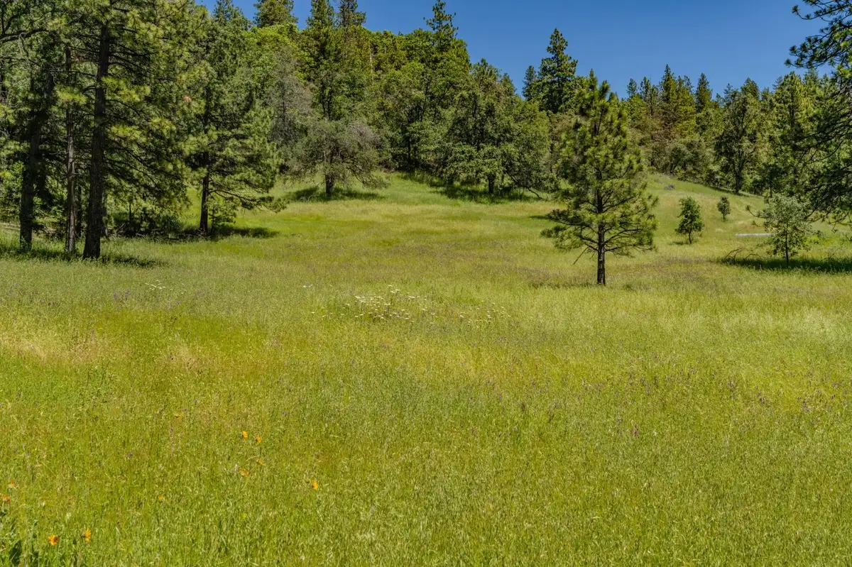 25755 State Highway 88, Pioneer, CA 95666 - #1