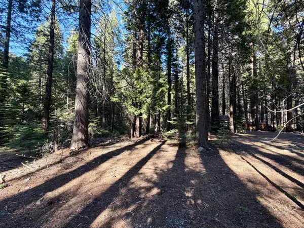 184 Creekside Drive, Camp Connell, CA 95223