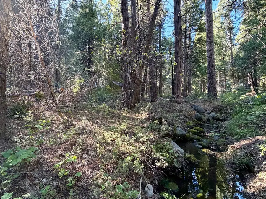 184 Creekside Drive, Camp Connell, CA 95223 - #2