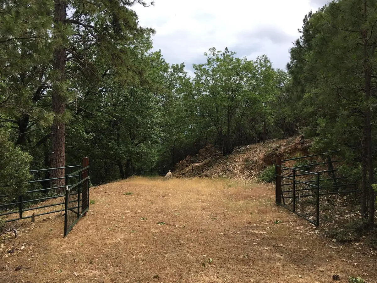 0 Robbers Ravine, Colfax, CA 95713 - #1