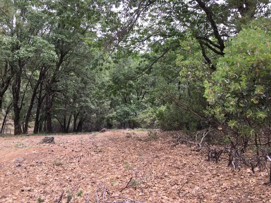 0 Robbers Ravine, Colfax, CA 95713 - #3