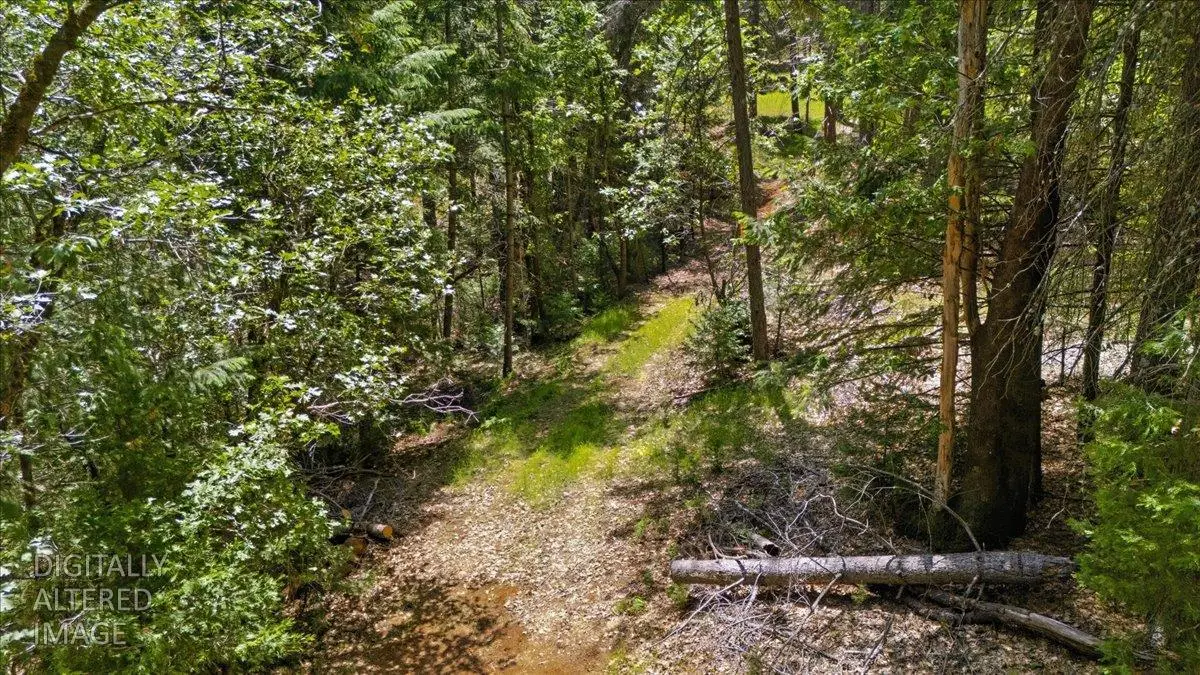 13604 Axle Court, Grass Valley, CA 95945 - #1
