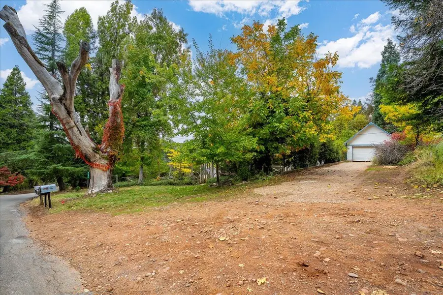 9501 Grizzly Flat Road, Grizzly Flats, CA 95636 - #3