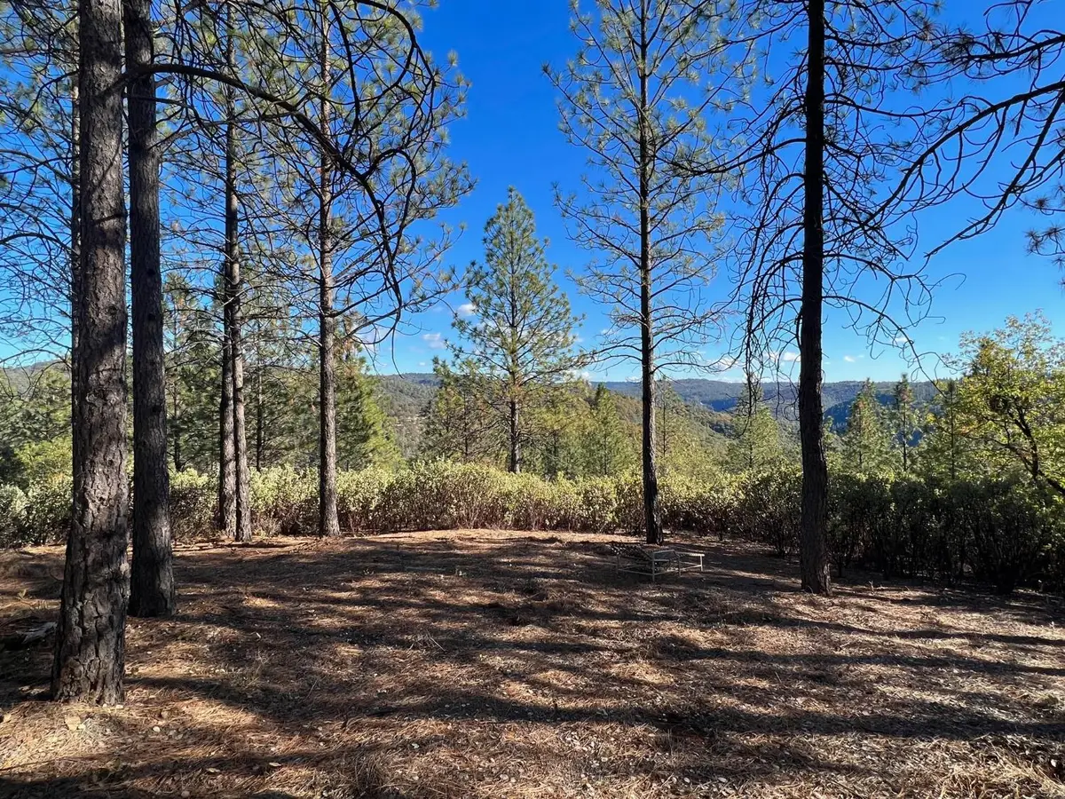 15375 Cliff Road, Nevada City, CA 95959 - #1