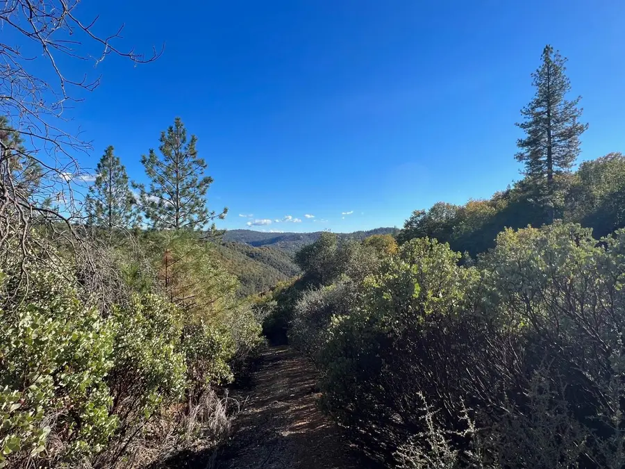 15375 Cliff Road, Nevada City, CA 95959 - #2