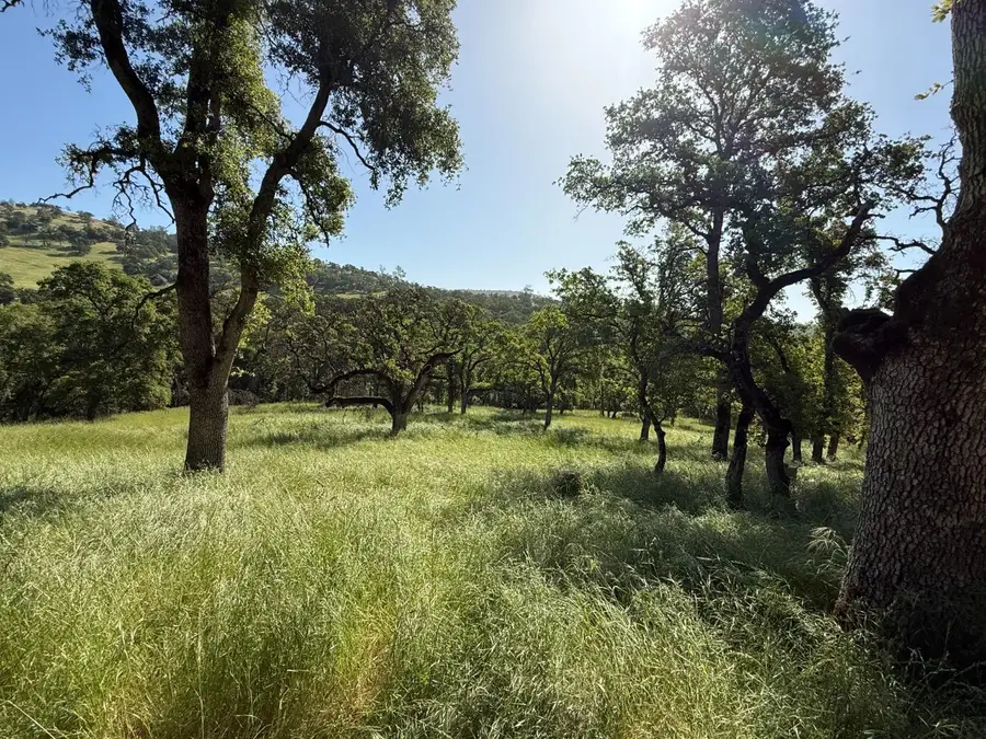 2 Boulder Way, Smartsville, CA 95977 - #2